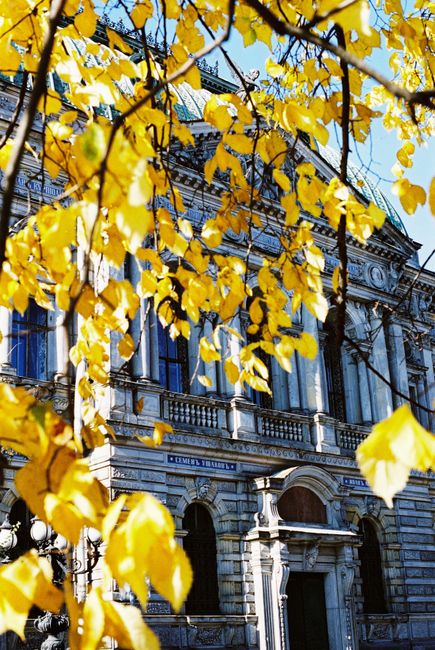 Stunning view of a historic building in Saint Petersburg surrounded by autumn leaves.