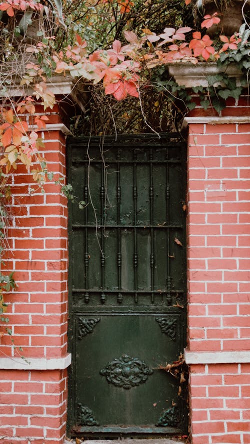 A Metal Door Between the Brick Walls