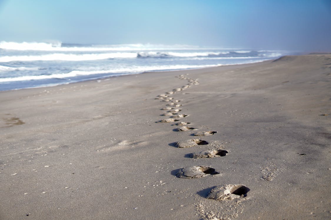 Footprints on the Sand · Free Stock Photo
