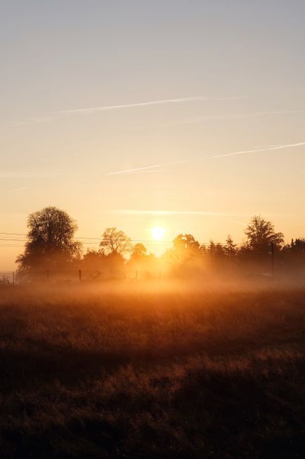 Beautiful sunrise over a misty rural landscape in Denmark, showcasing nature's tranquility.