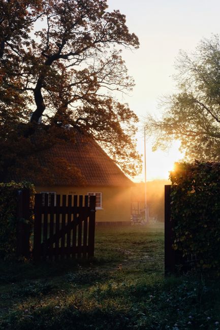 A tranquil view of a Danish countryside house surrounded by trees at sunrise.