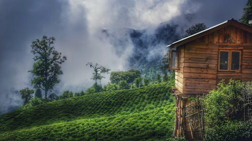 Brown Wooden House On Green Grass Field