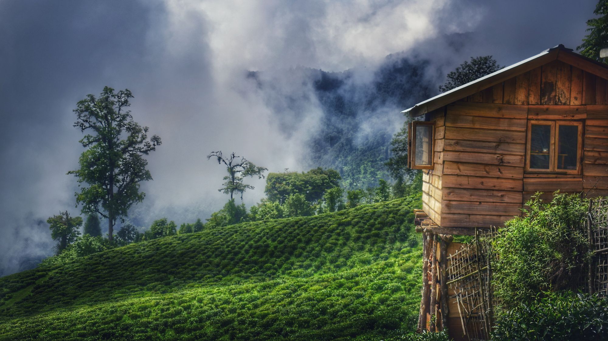 Sikkim Darjeeling Tour Packages Gallery 3
