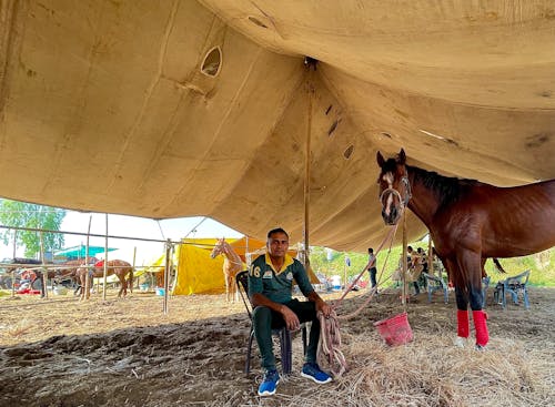 Ranch Man beside a Brown Horse