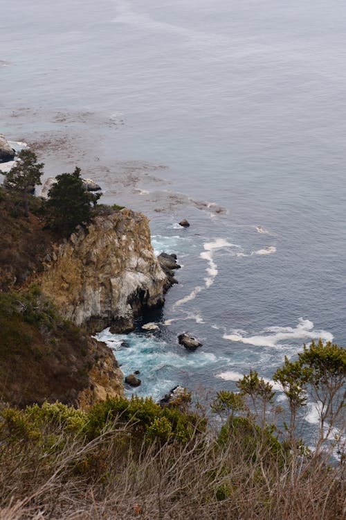 ağaçlar, deniz, deniz manzarası içeren Ücretsiz stok fotoğraf