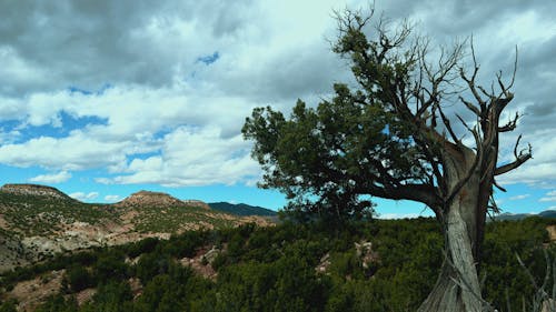Free stock photo of beautiful landscape, cloudy sky, colorado