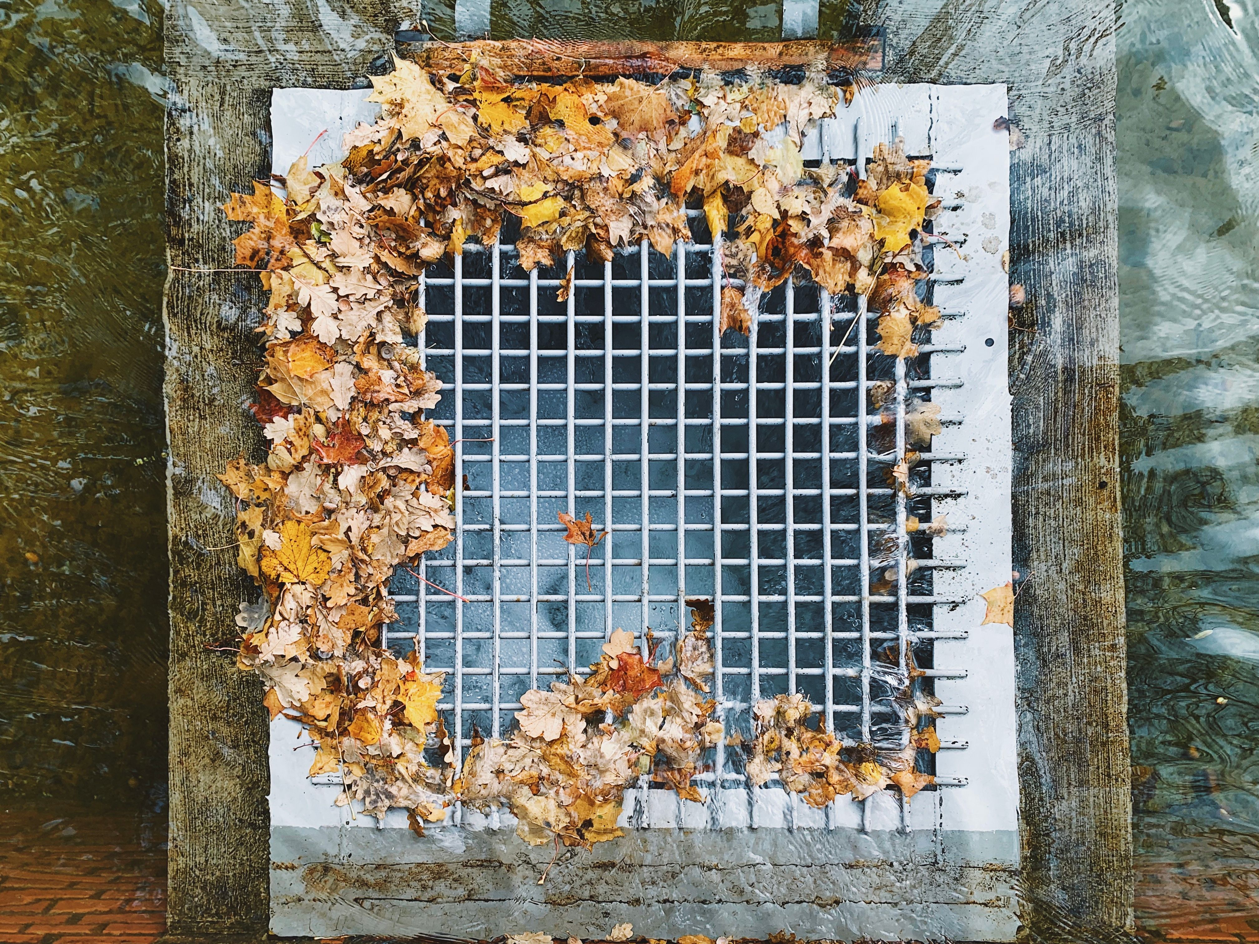 Top-down view of autumn leaves on a metal grate submerged in water, creating a natural pattern.