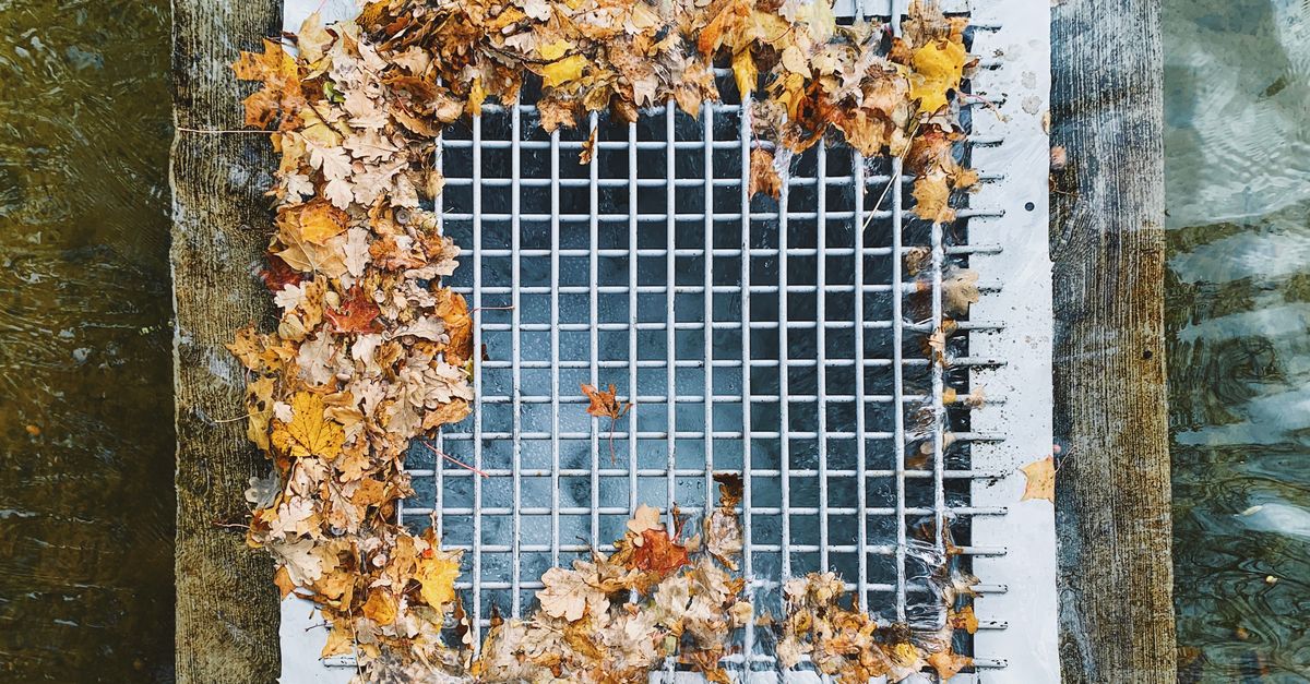 Feuilles mortes accumulées sur une grille d'évacuation noyée d'eau