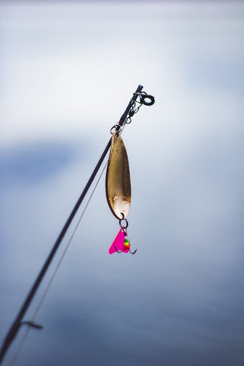 Close-up of a Lure on a Fishing Rod