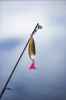 Detailed shot of a fishing lure on a rod against a blurred background.