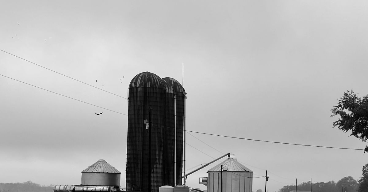 Grain Silos, Craft Beer, and a Blueprint for Small Business: Inside TUPPS Brewery's East McKinney Incubator