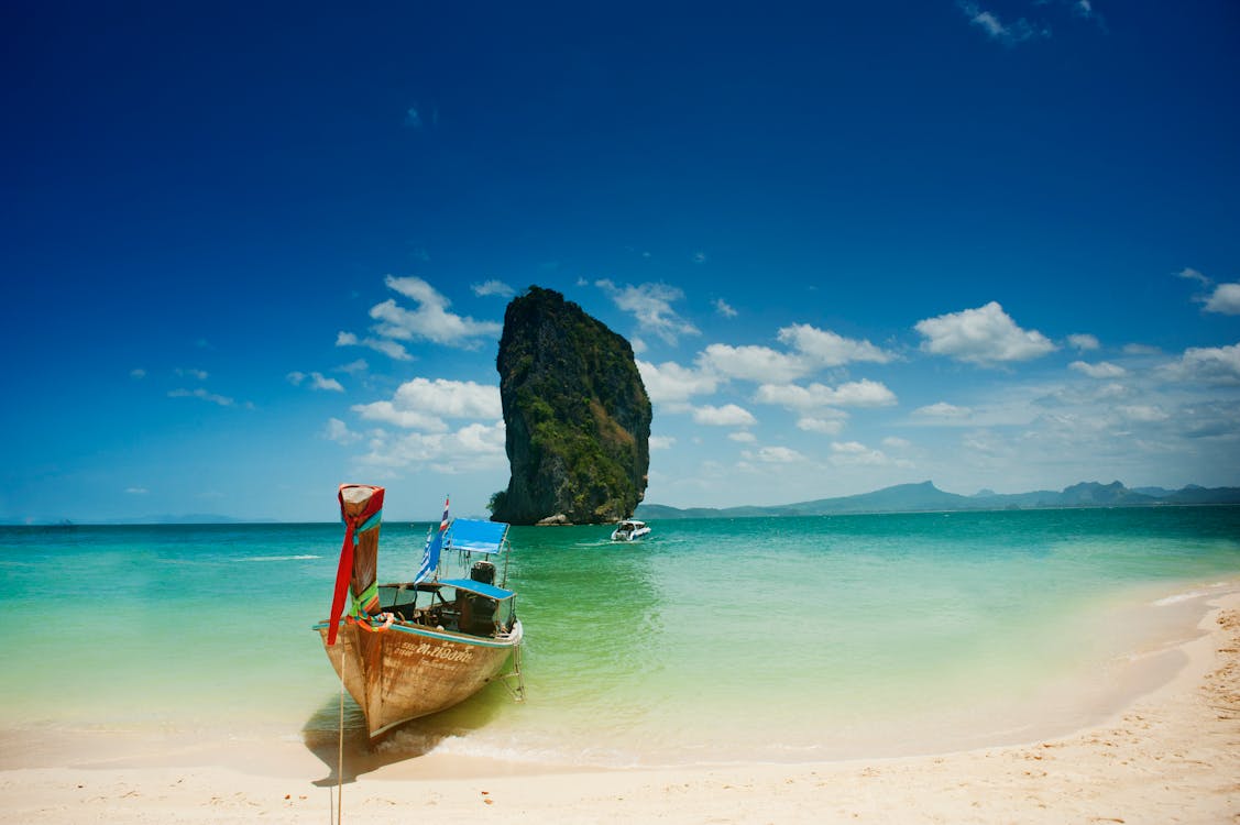 Brown on Seashore Near Mountain