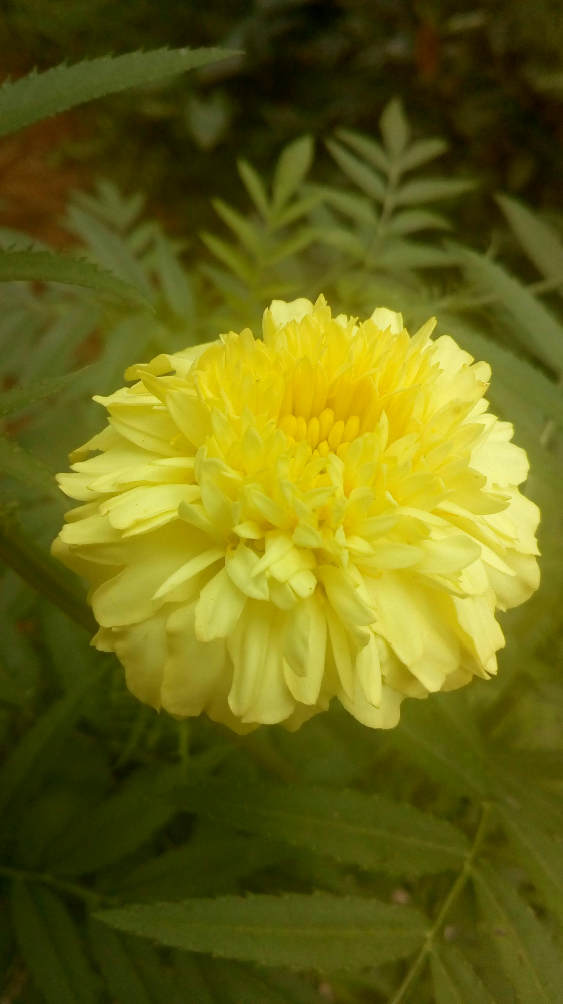 Vista panorámica de Helsinki al atardecer