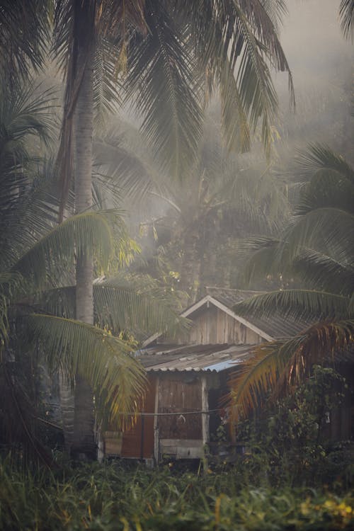 Photos gratuites de brouillard, bungalow en bois, destinations de voyage