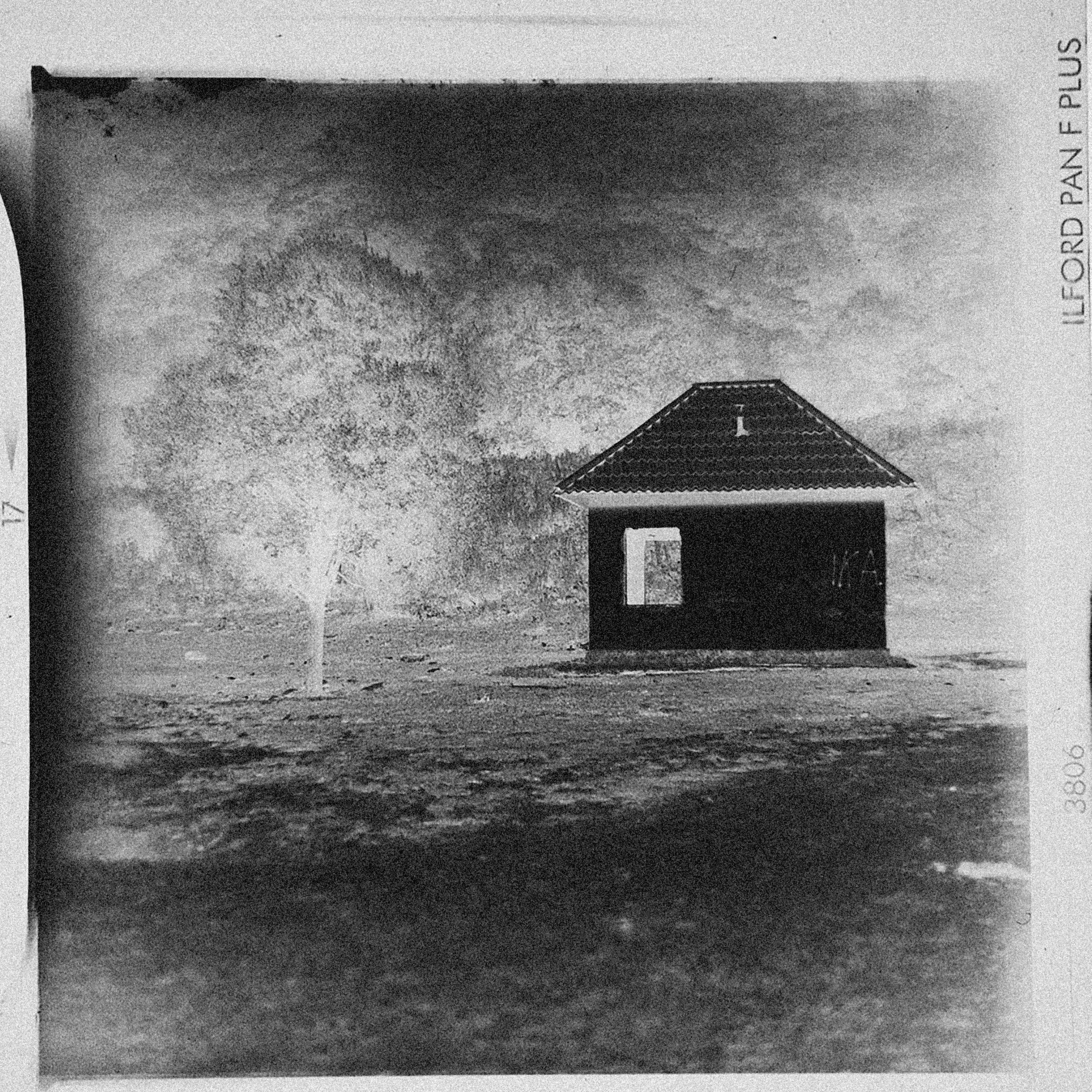 Gratis Immagine gratuita di alberi, albero singolo, ancora Foto a disposizione