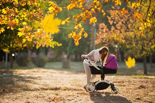 Woman In Grey Pants Holding Black And Purple Stroller 