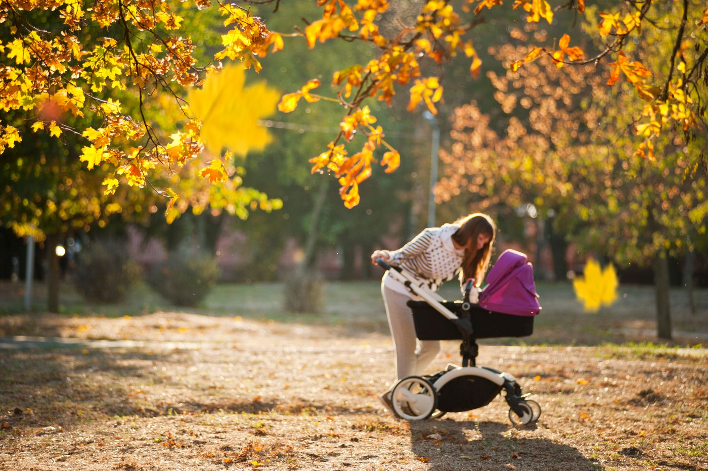 Jeune maman marchant en douceur avec sa poussette dans un parc ensoleillé