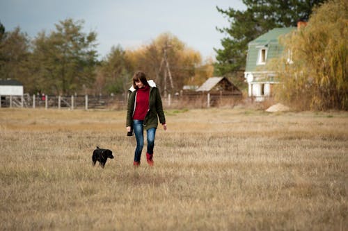 Frau Trägt Eine Braune Reißverschlussjacke Und Blaue Jeans, Die Tagsüber Neben Einem Kurzhaarigen Schwarzen Hund Laufen