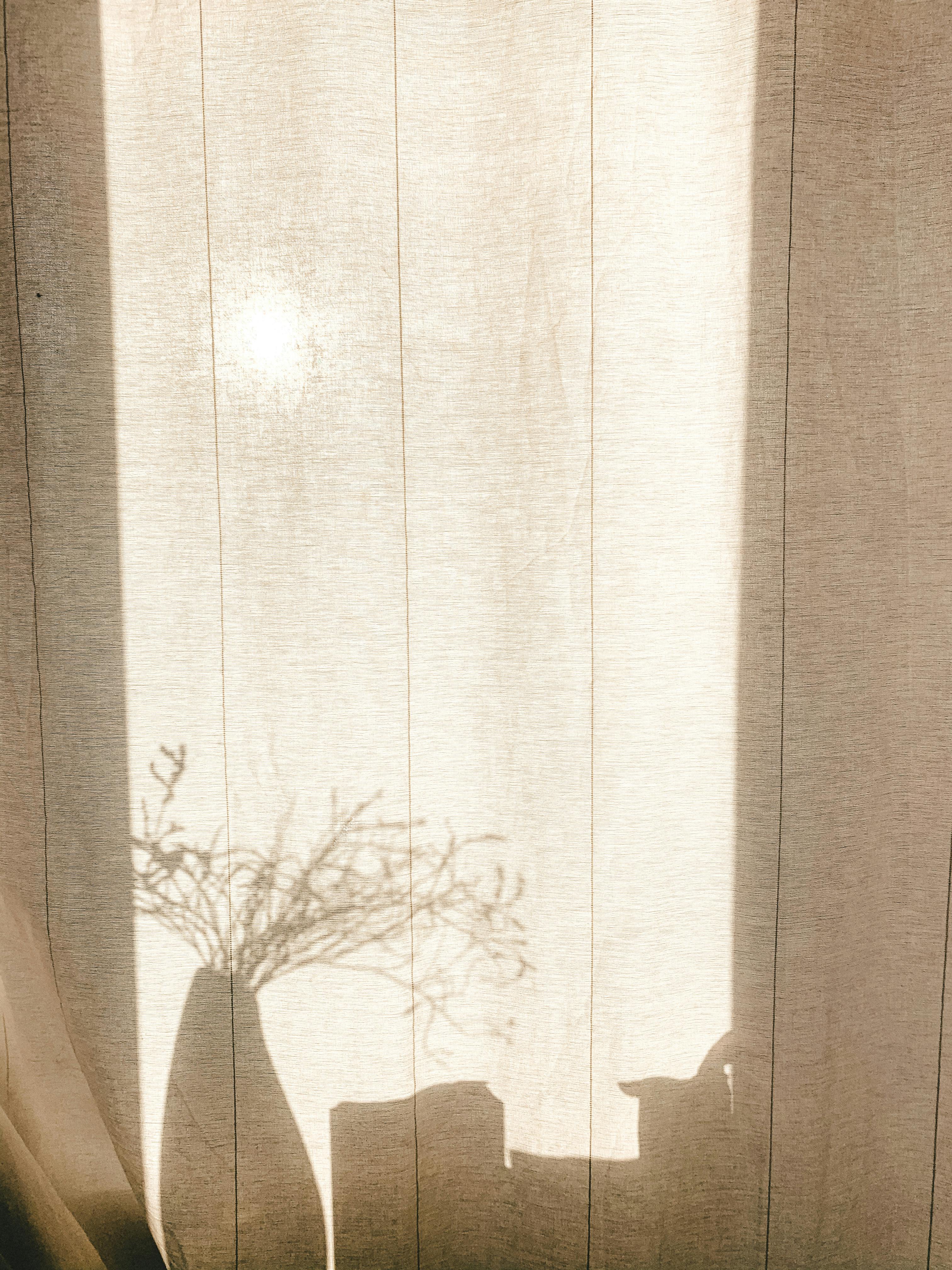 Artistic shadow of a vase and plant on curtain in bright sunlight.