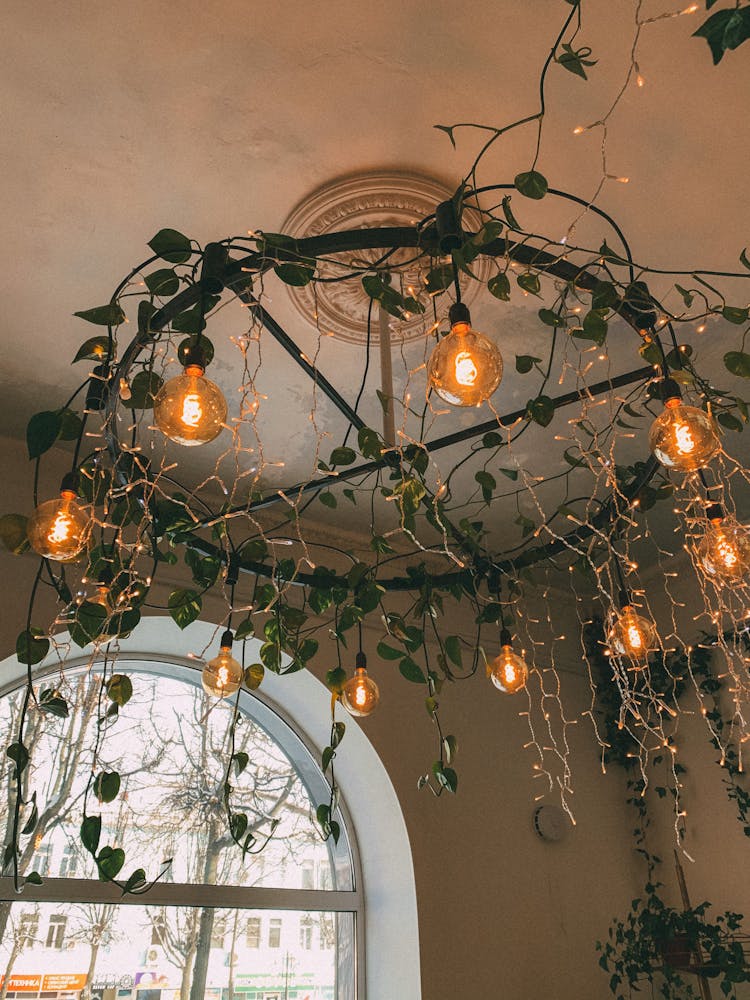 Chandelier And Leaves In Room