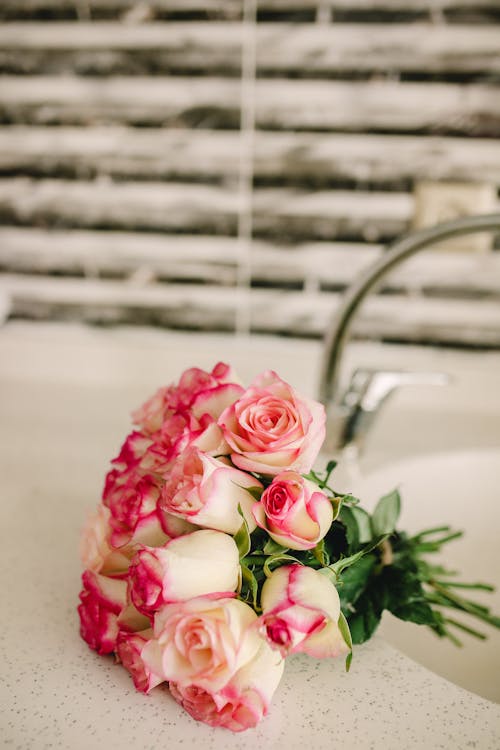 꽃이 피는, 부케, 분홍색 장미의 무료 스톡 사진