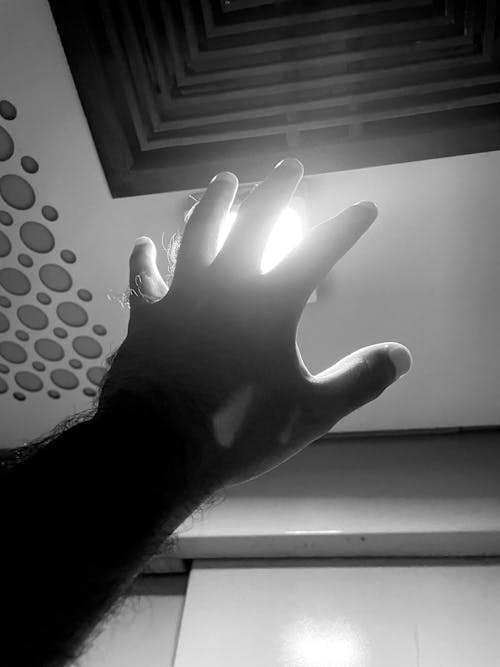 Darmowe zdjęcie z galerii z czarno-biały, pomocna dłoń, ręka