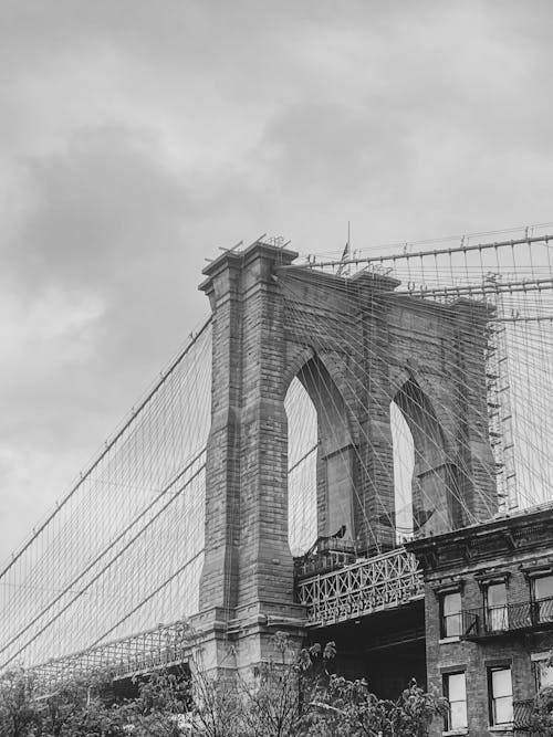 免費 低角度拍攝, 吊橋, 單色 的 免費圖庫相片 圖庫相片