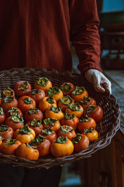 A person holding a wicker basket full of ripe persimmons, capturing the essence of autumn harvest.