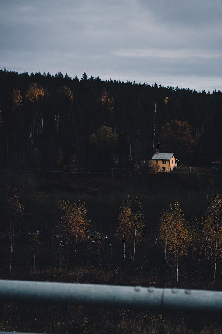 Metal Railing Overlooking A House In The Middle Of A Forest