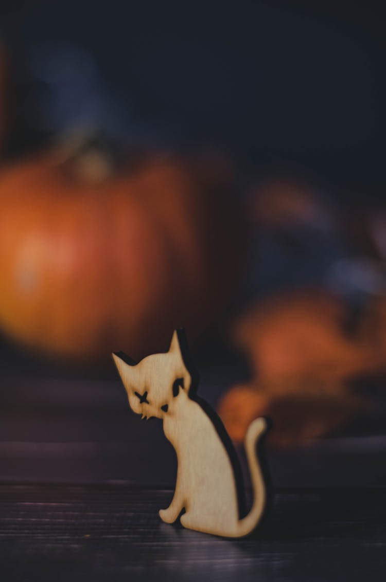 White Toy Cat And Pumpkins