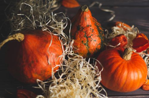 Free Cozy autumn scene with pumpkins and rustic decor, perfect for seasonal themes. Stock Photo