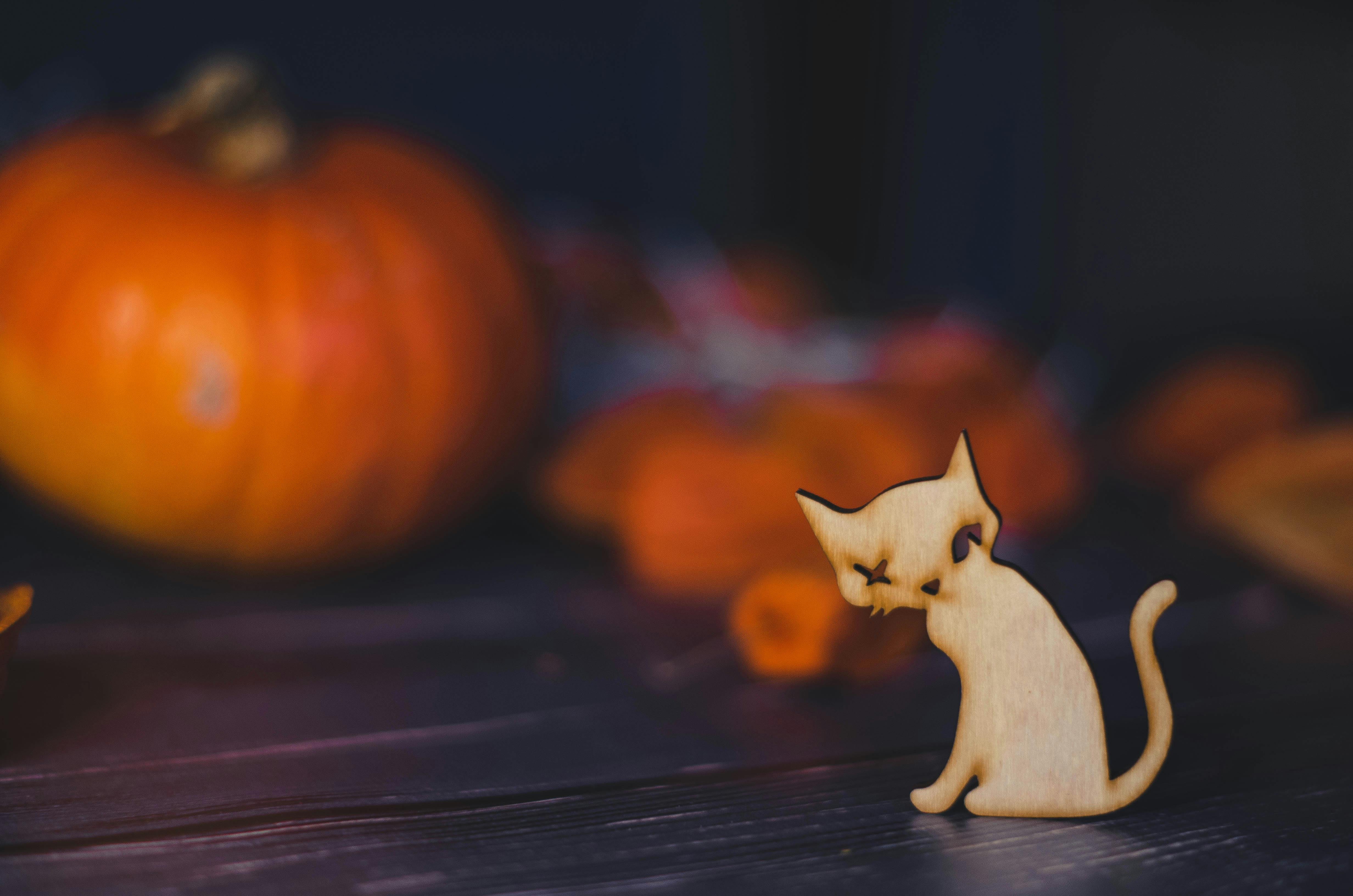 50 Amazon Halloween Decor Picks to Make Your House Look Scary Good — Photo by Nika Benedictova on Pexels