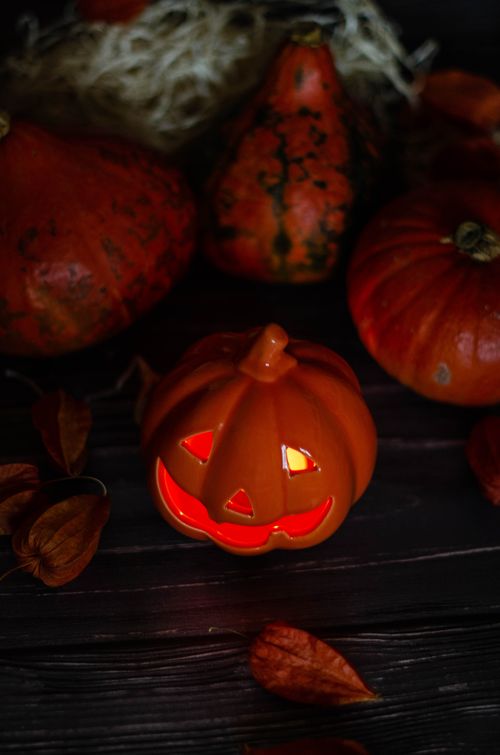 Free Close-up of a glowing Jack-O'-Lantern surrounded by pumpkins for Halloween atmosphere. Stock Photo