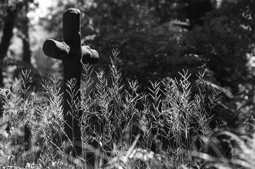 Free Monochrome image of a tombstone cross surrounded by grass in a cemetery. Stock Photo