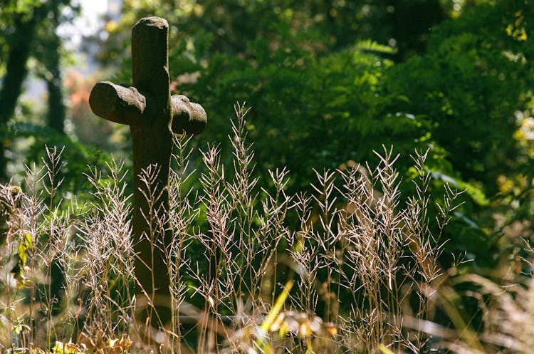 Cross On Grave