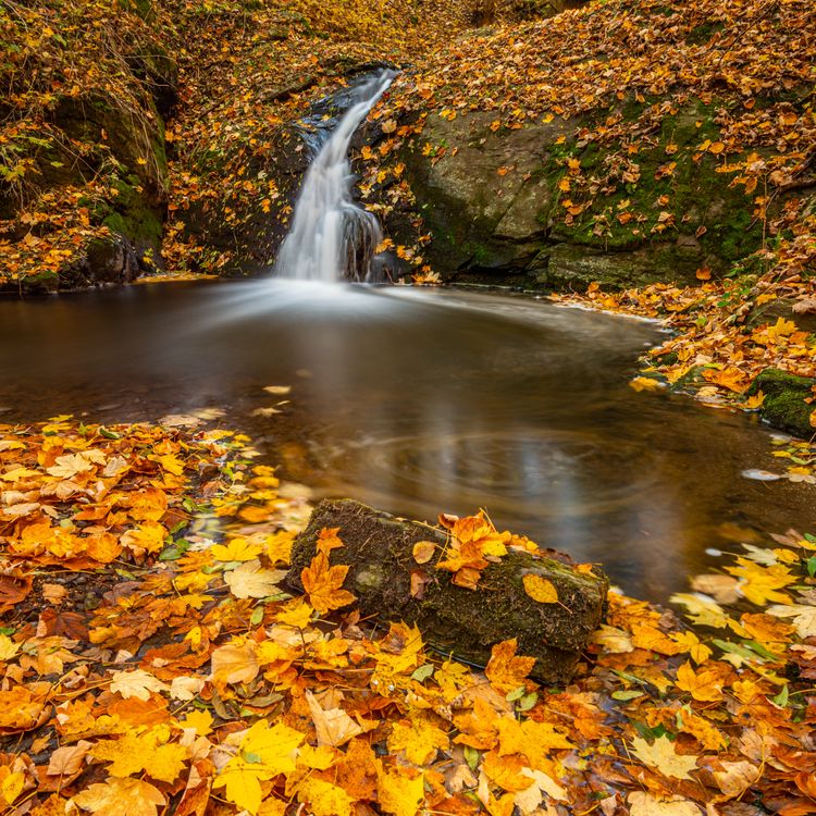 Scenic Waterfall in Autumn · Free Stock Photo