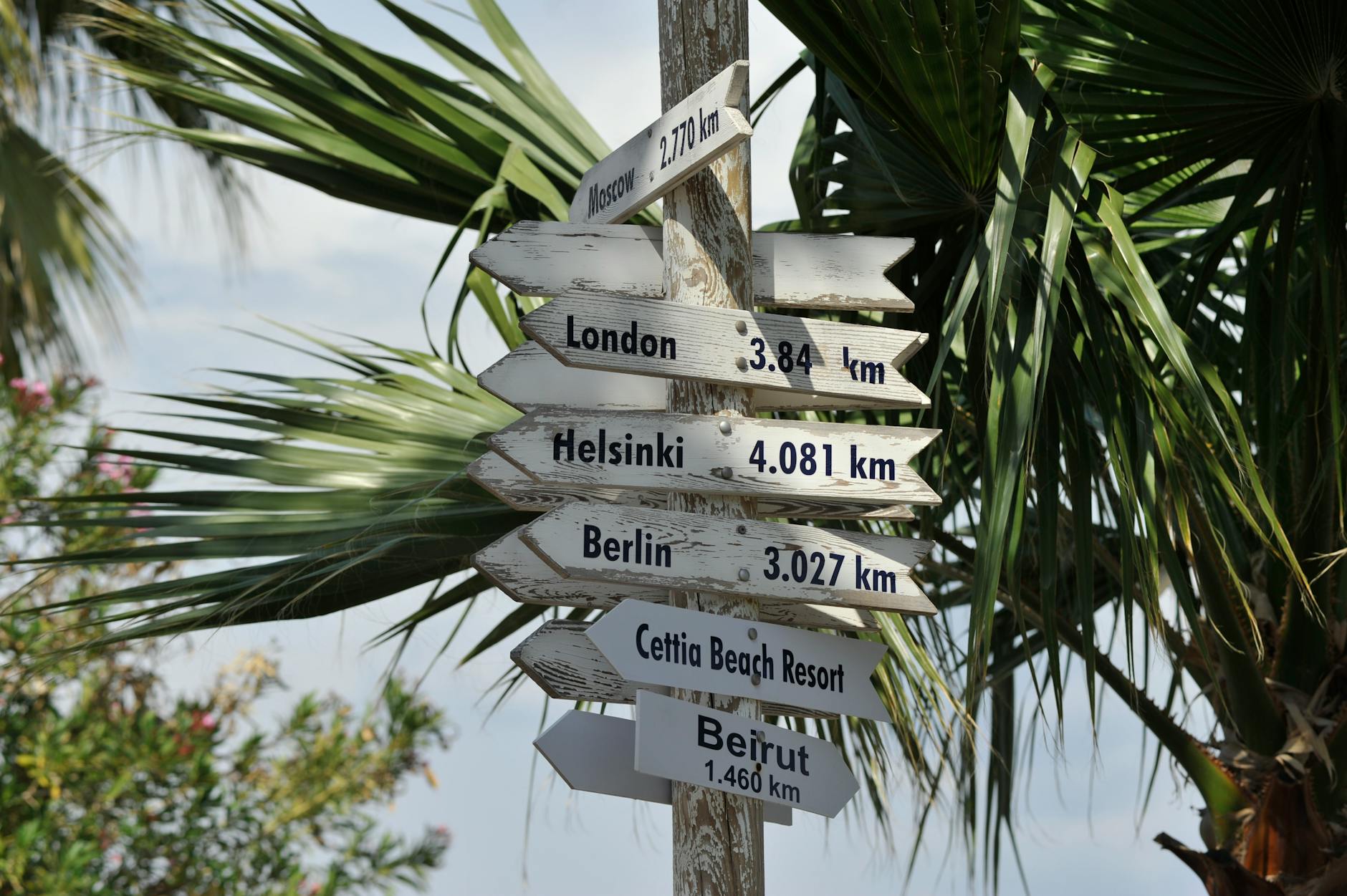A rustic signpost in a tropical setting points to major global destinations, hinting at wanderlust.