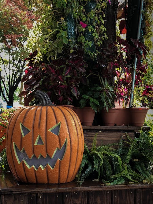 A Jack O Lantern Near Plants