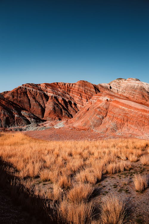 Canyon under Clear Blue Sky 