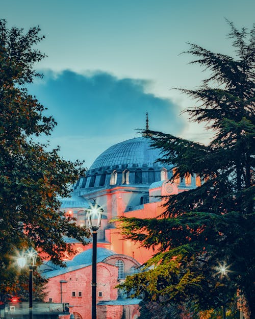 Trees and Hagia Sophia