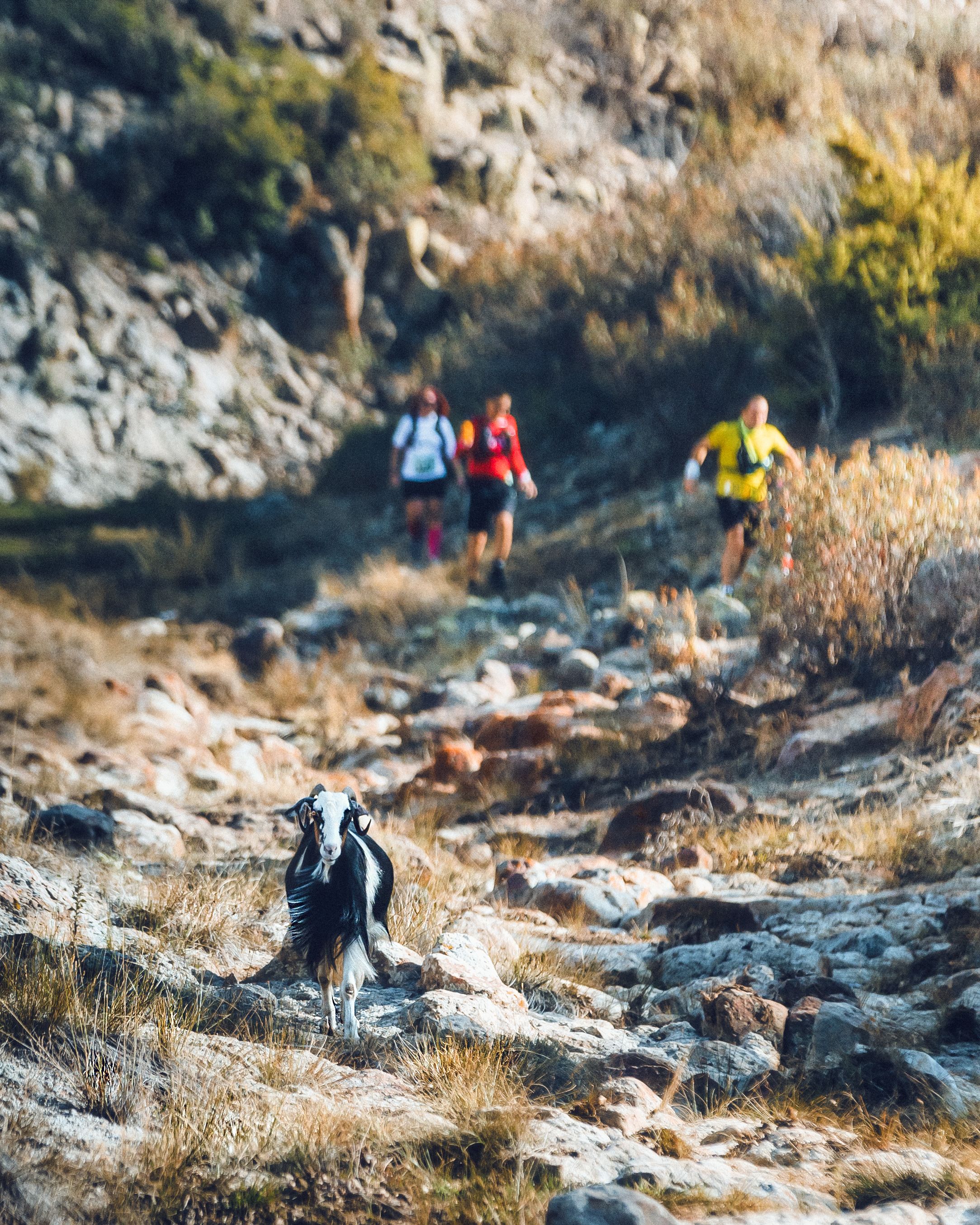 Sport outdoor 