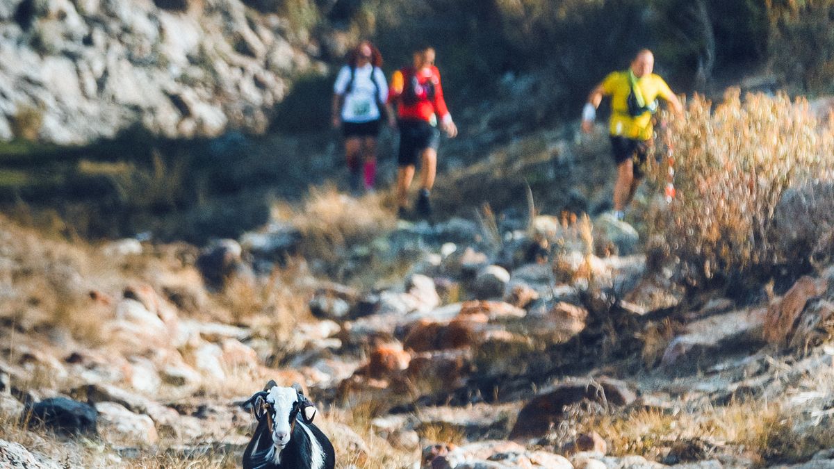 Sport outdoor