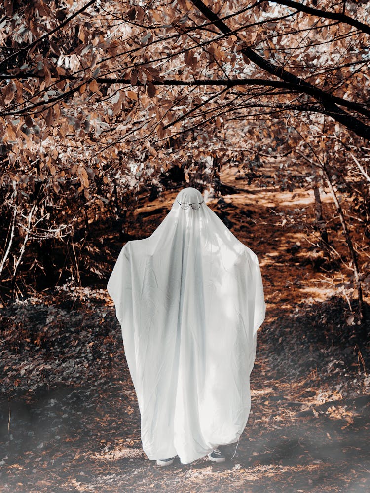 Man In Ghost Costume In Autumn
