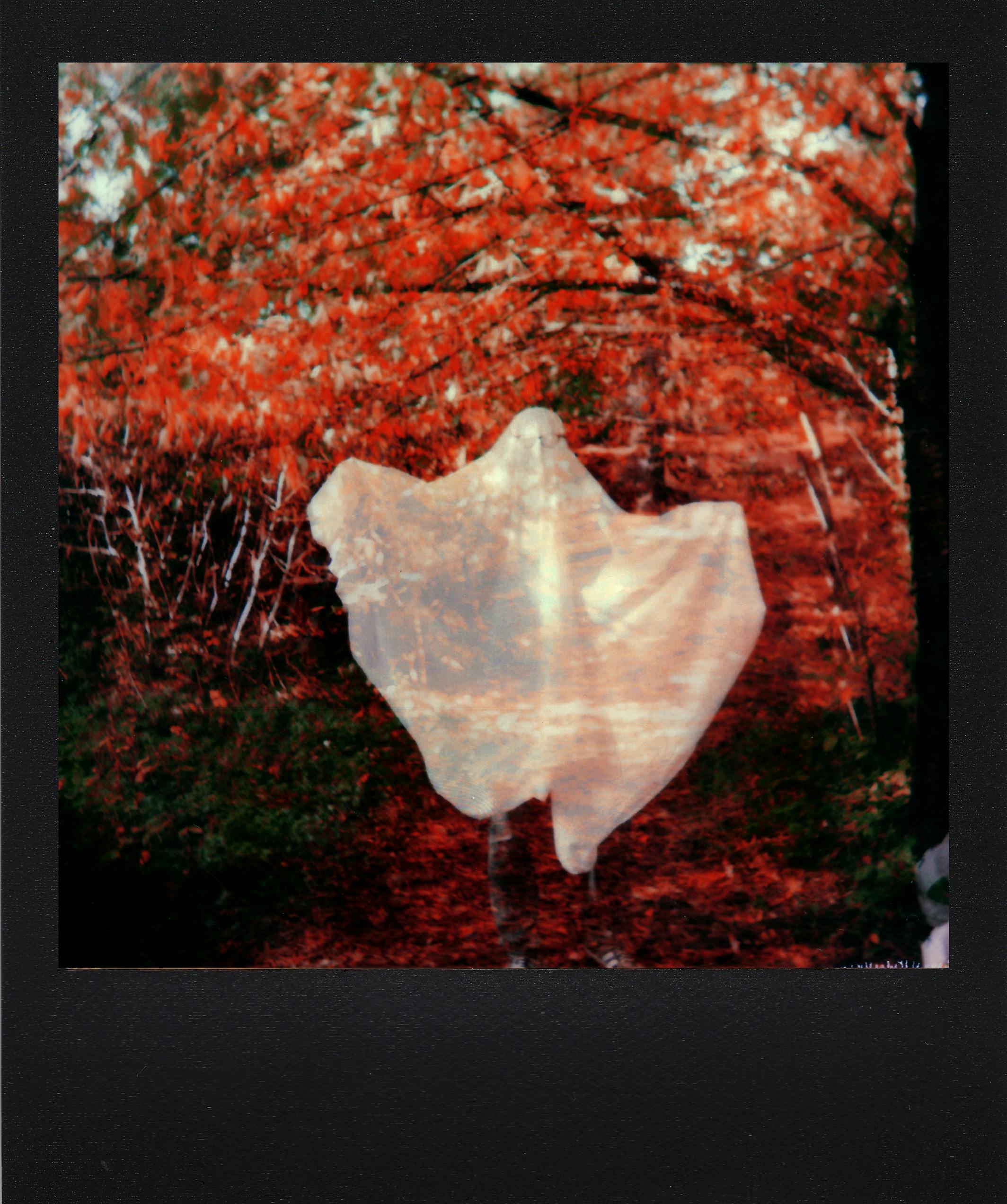 Spooky ghostly figure captured in a vibrant autumn forest Polaroid scene.