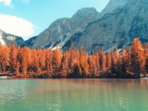 Imagine de stoc gratuită din atmosfera de outono, culoarea toamnei, lac