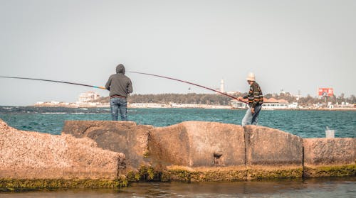 aksiyon, Balık tutmak, balıkçı içeren Ücretsiz stok fotoğraf
