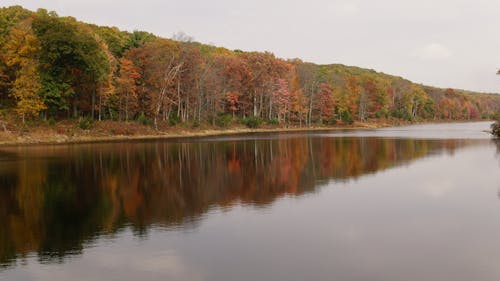 Foto d'estoc gratuïta de caiguda de fulla, caure, color tardor