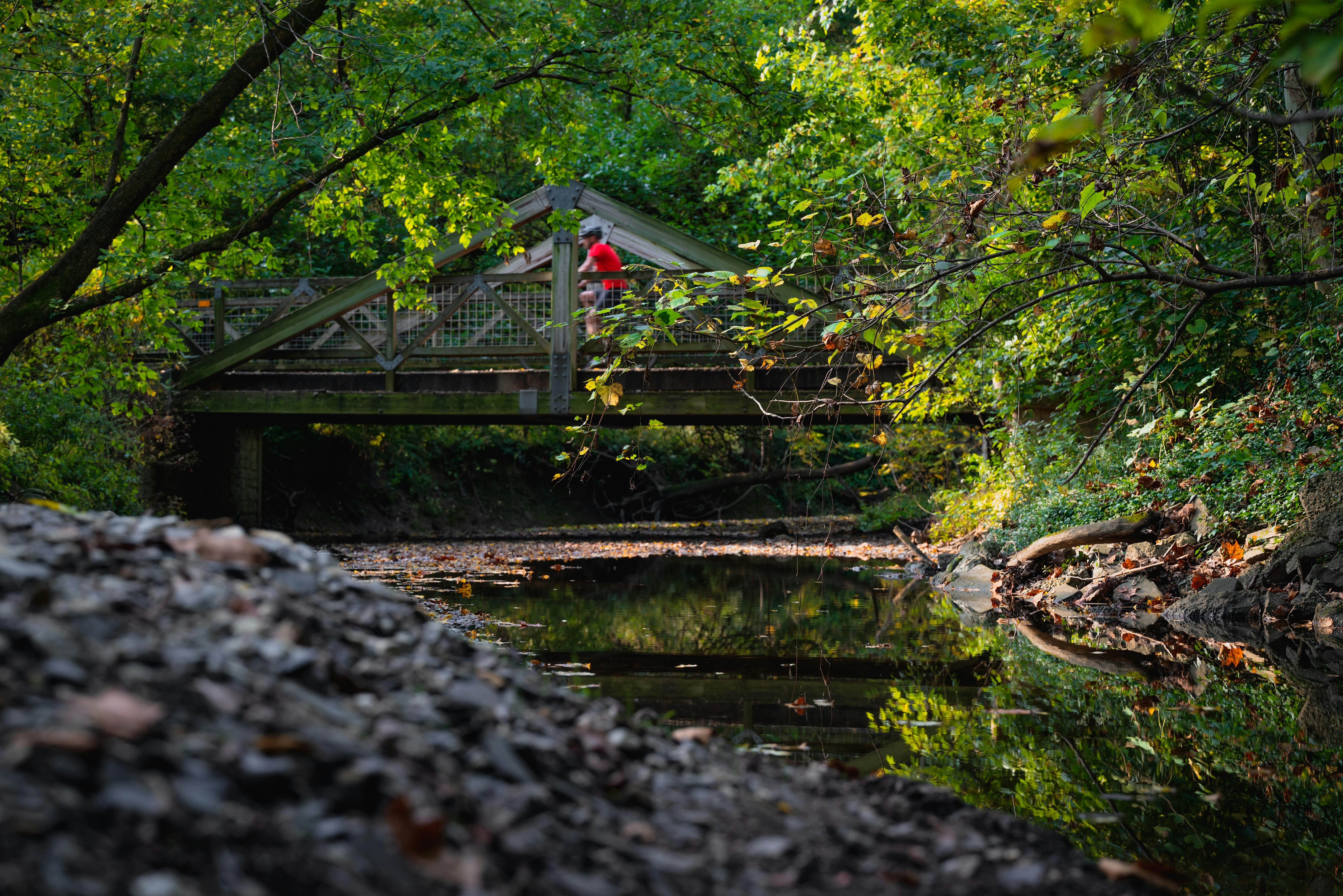 DuPage Forest Preserve executive director leaving for city manager job in Florida — Photo by Chris F on Pexels