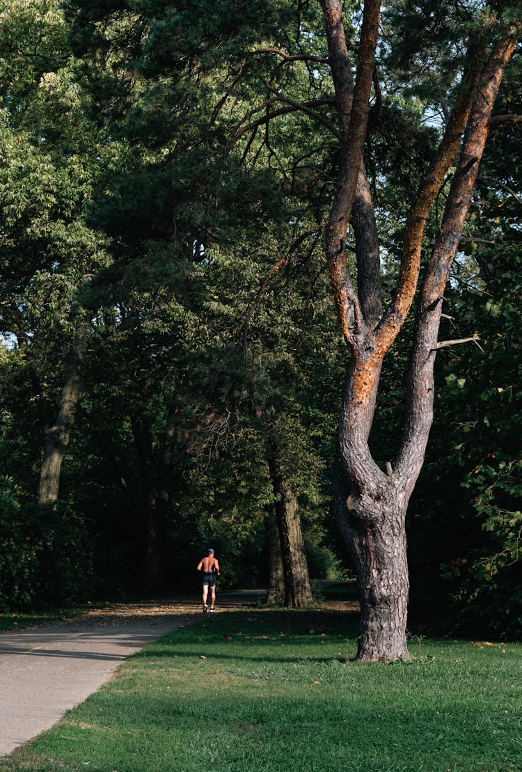 Man Jogging Through Park