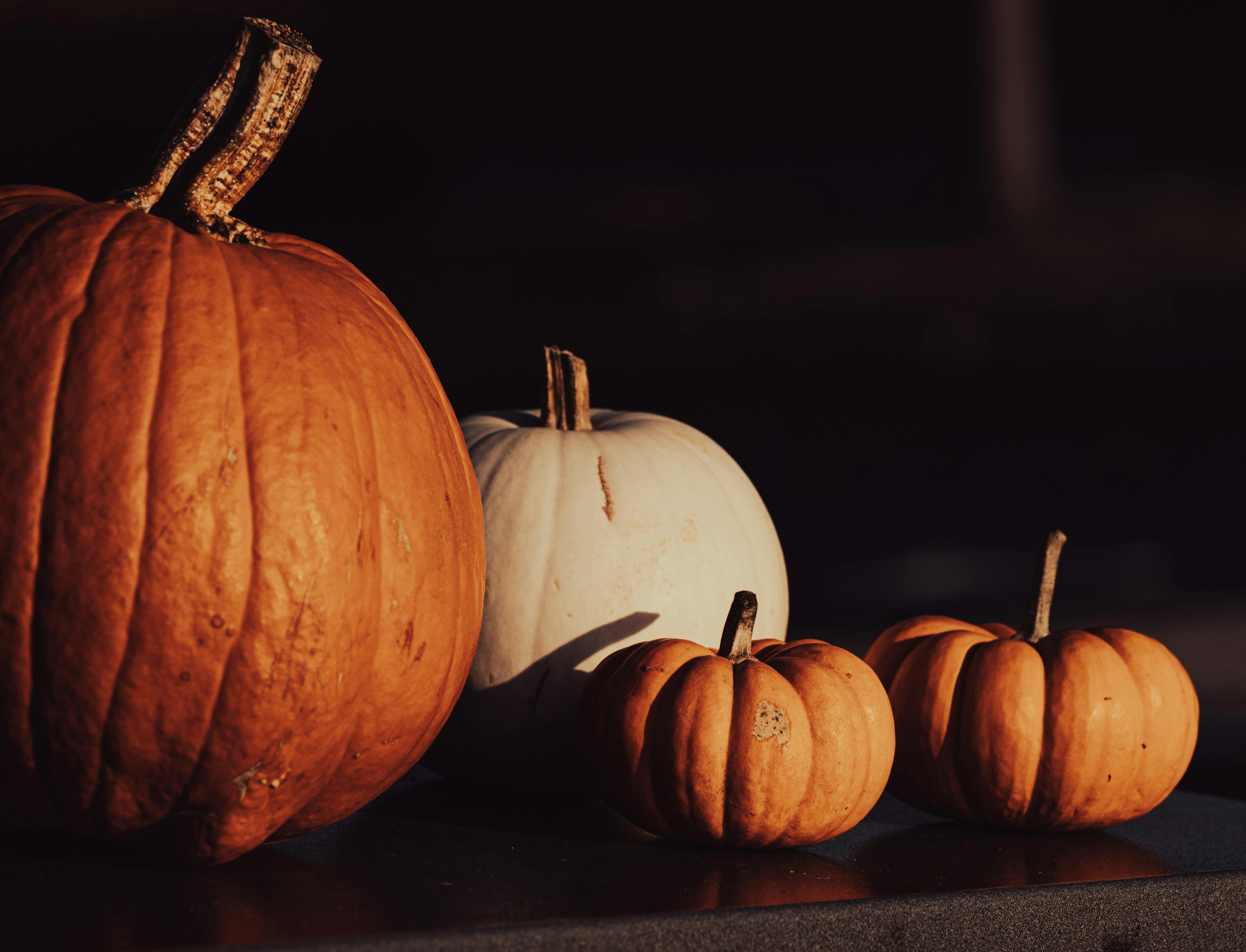 One and Five Brown Pumpkins · Free Stock Photo